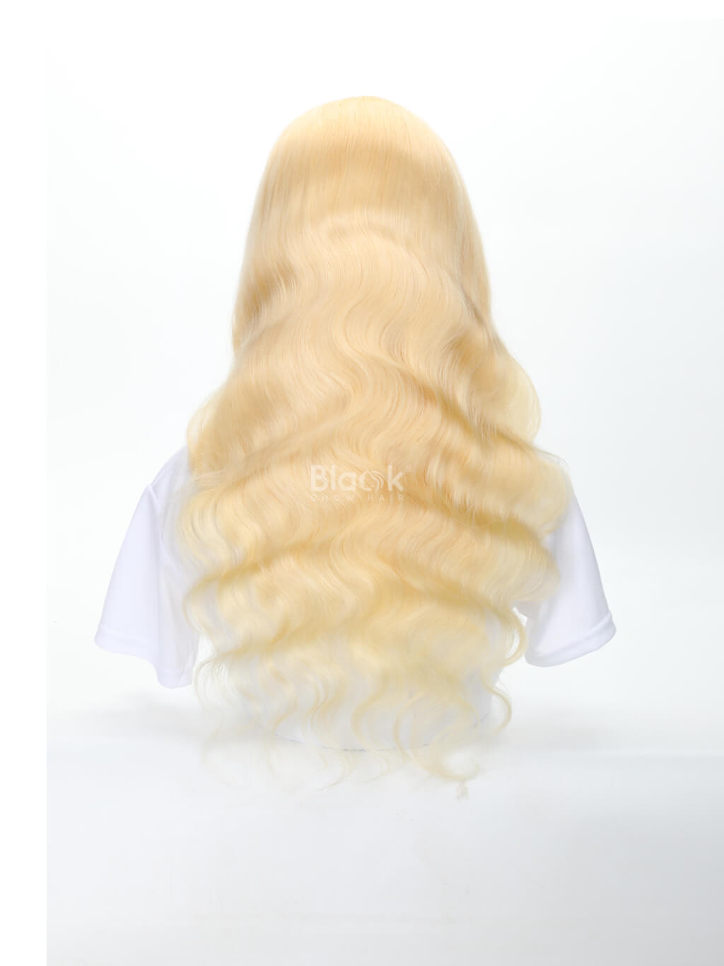 613 body wave wig 13x4 transparent lace front wig 2