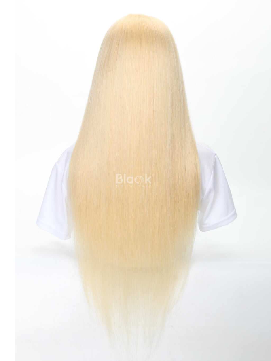 613 straight wig 13x4 transparent front wig 3